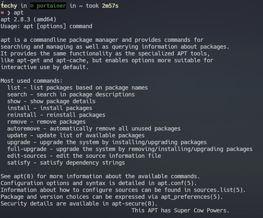 Example of package manager usage in terminal